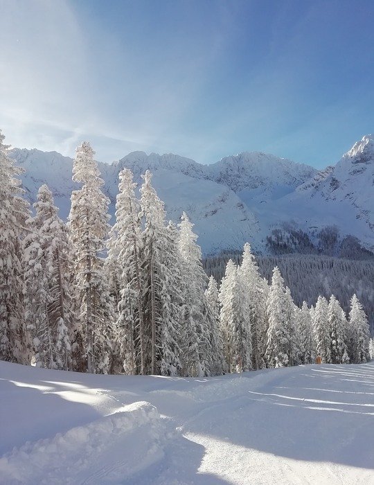 tirol, snow, skiing