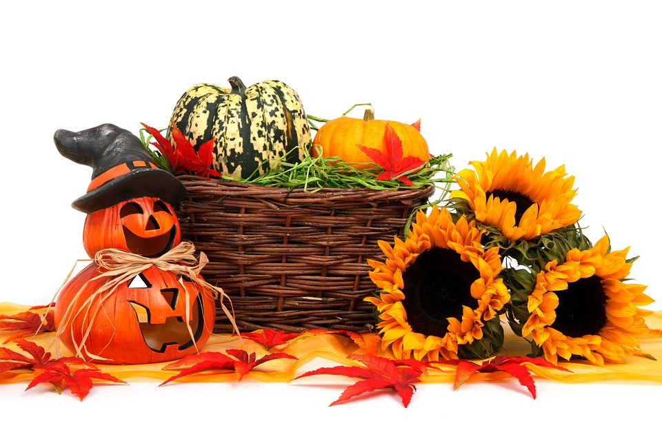 autumn, basket, celebration