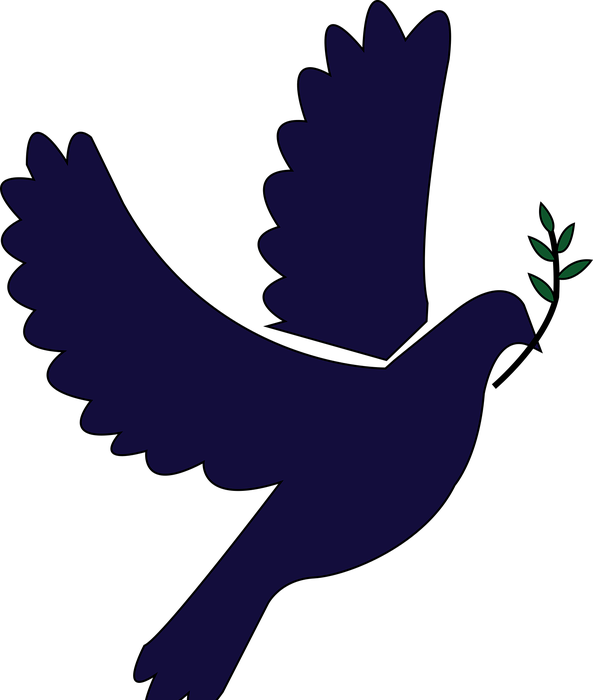 dove, wings, peace