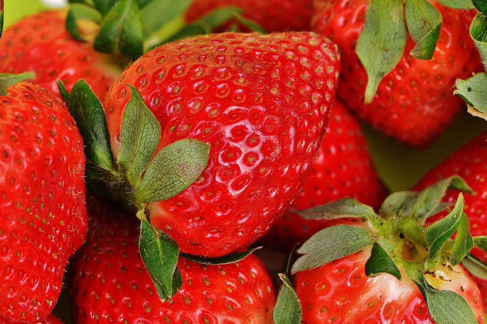 strawberries, fruit, close