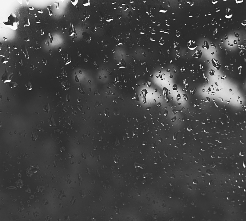rain, drip, window