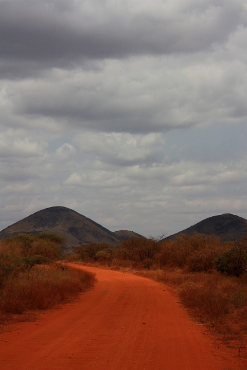 safari, road, orange