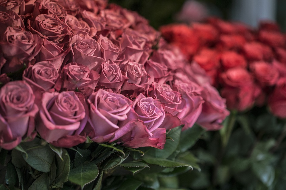 roses, flower, market