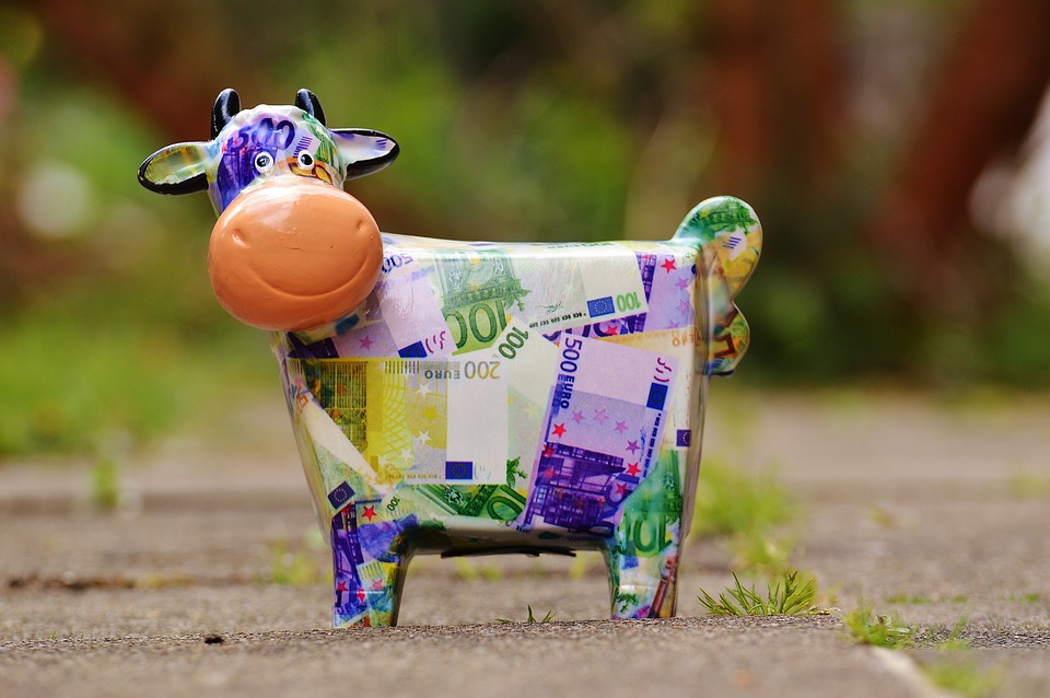 cow, save, money