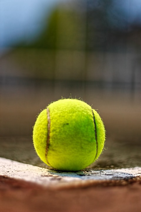 tennis, ball, sport