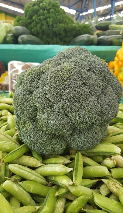 broccoli, green, vegetables