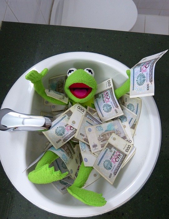 kermit, frog, money