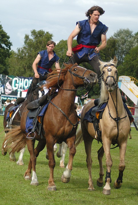 horse, stunt, equestrian