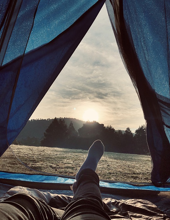 camping, summer, dawn