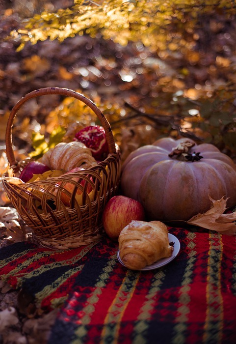 picnic, basket, pumpkin
