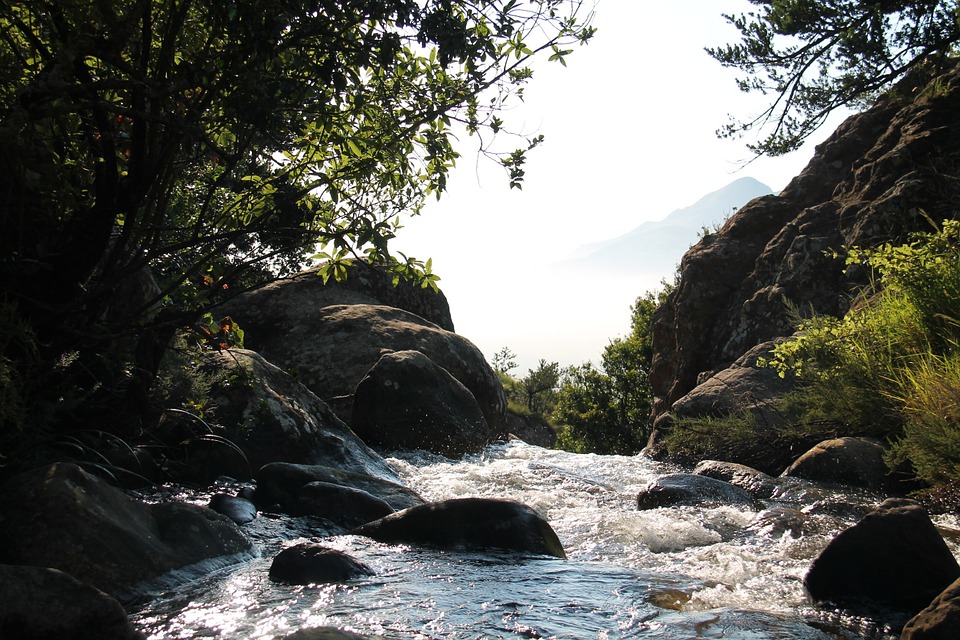 stream, rocks, water