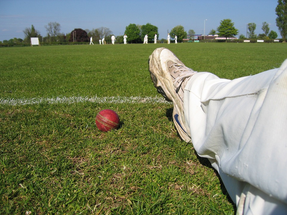 cricket, ball, boundary