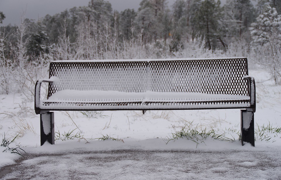 snowy, bench, forest