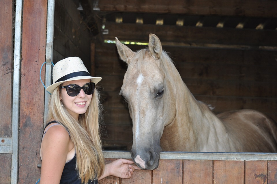 horse, equestrian, girl
