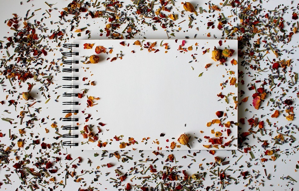 dried petals, sketchbook, flat lay