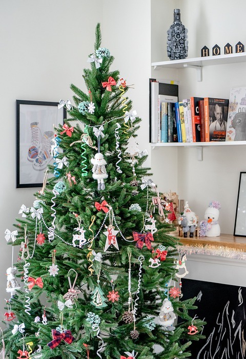christmas, christmas tree, holiday