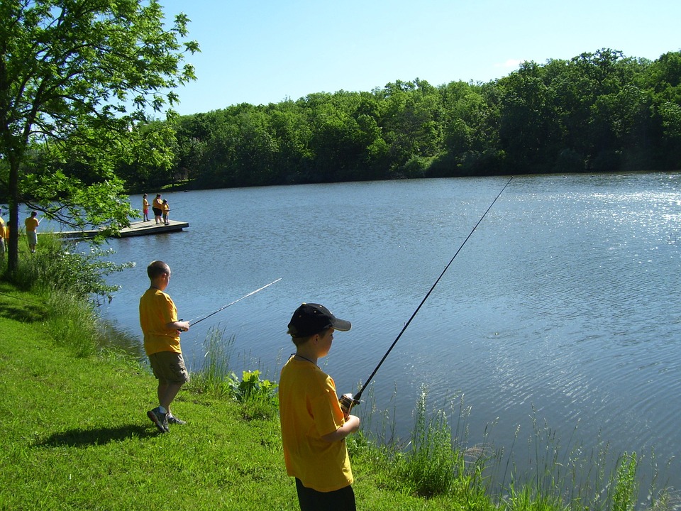 fishing, lake, summer