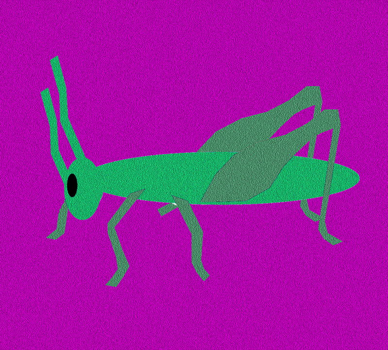 cricket, bug, grasshopper