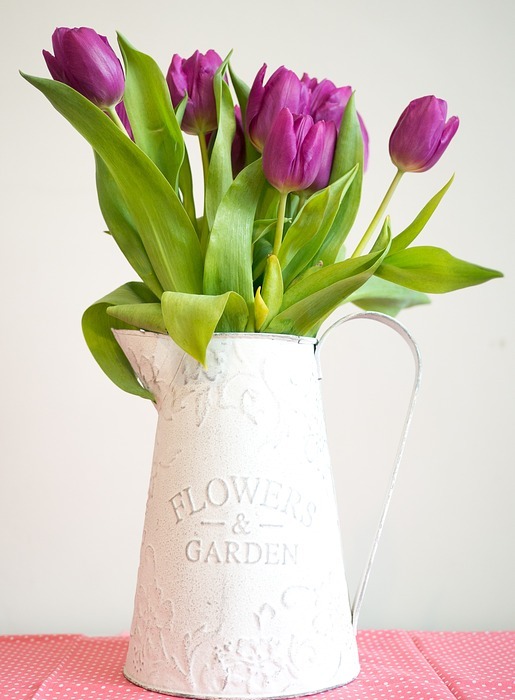 violet, tulip, pitcher