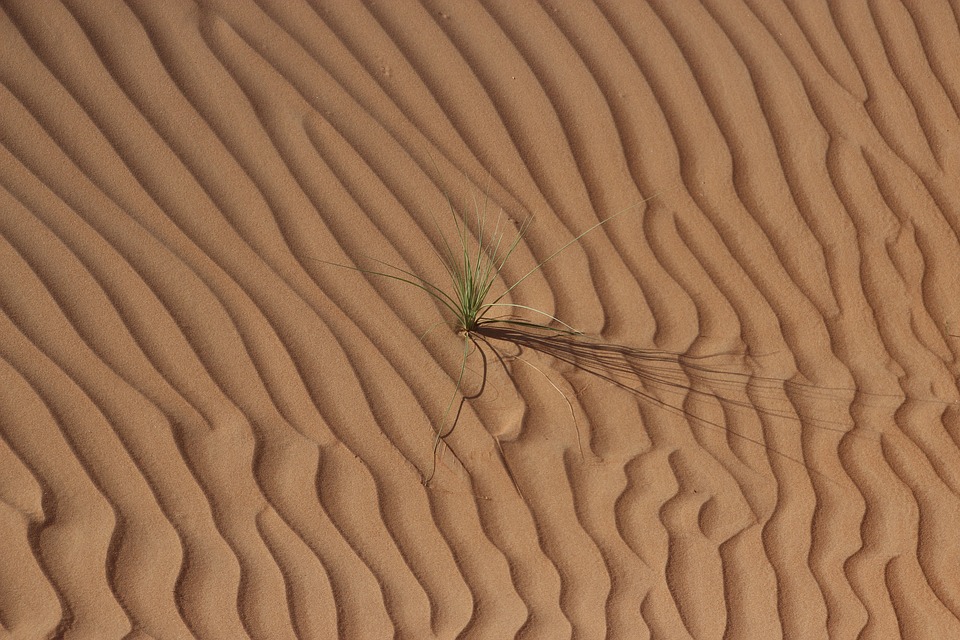 desert, oman, sand