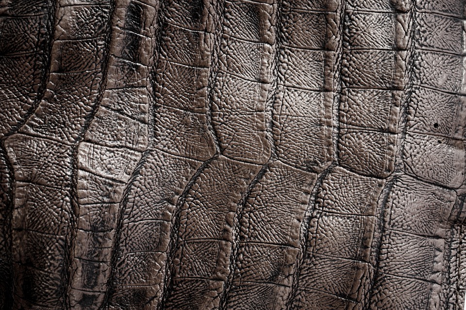 leather, skin, texture