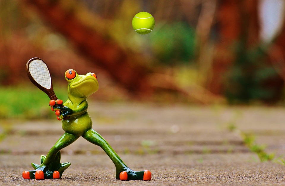 frog, tennis, funny