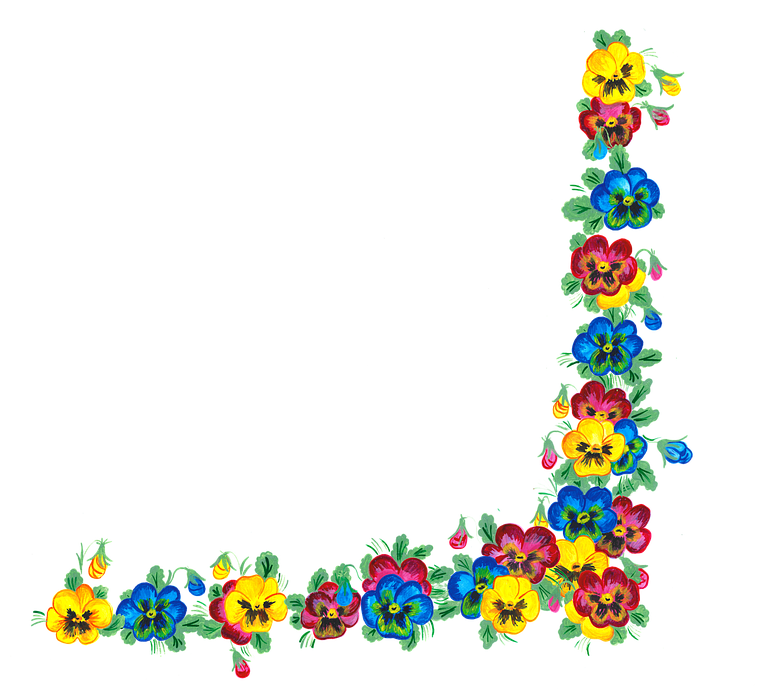 pansies, flowers, border