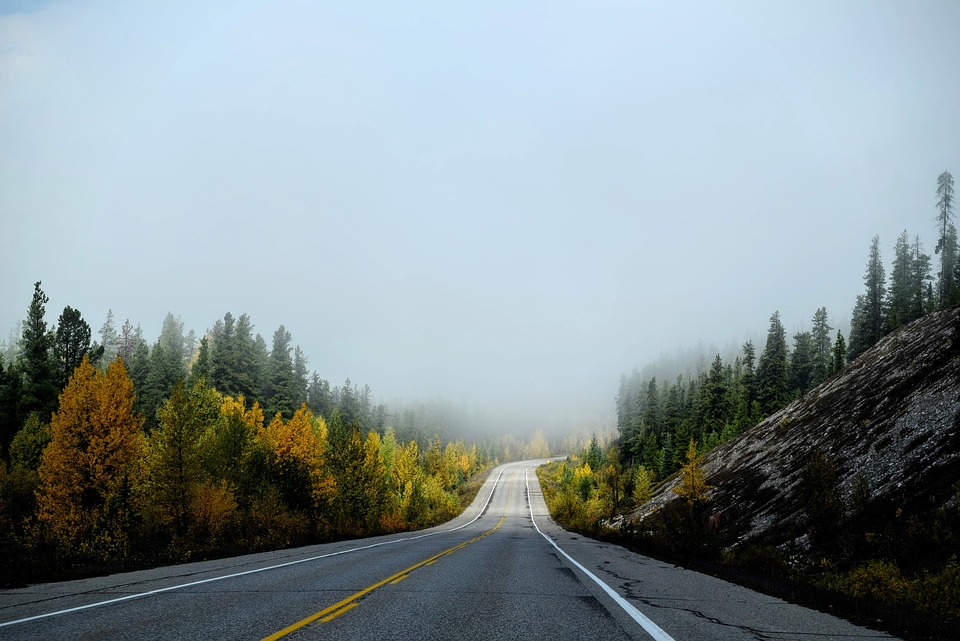 roadway, autumn landscape, landscape