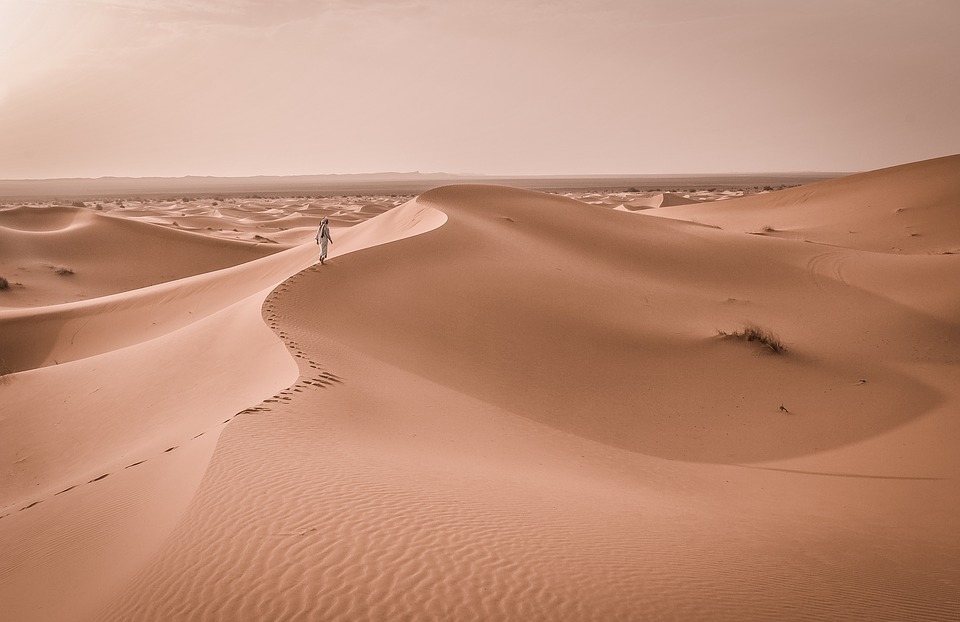 barren, desert, dune