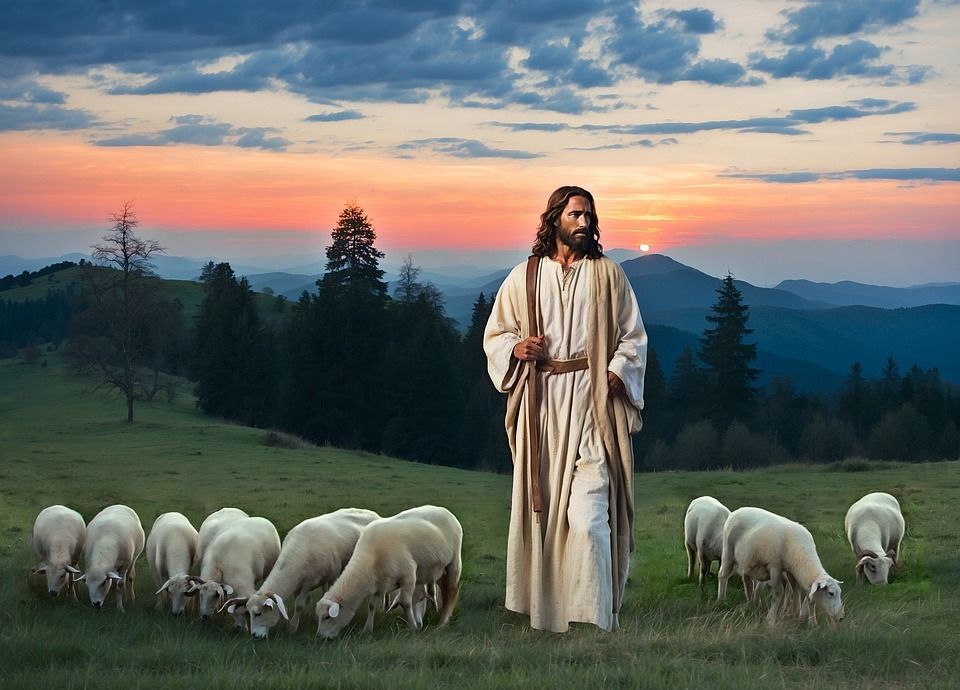 jesus, sheep, shepherd
