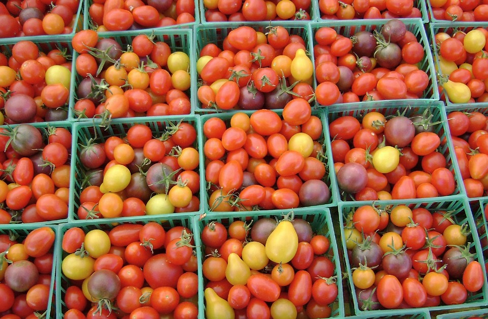tomatoes, vegetable, groceries