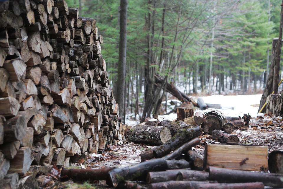 wood, logs, stack