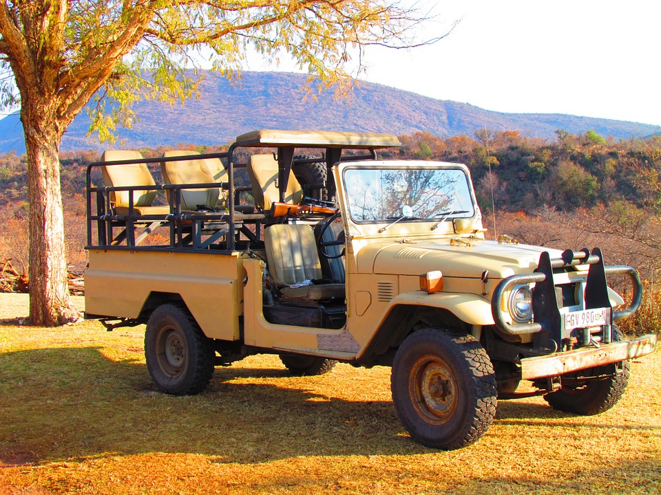 safari, jeep, vehicle