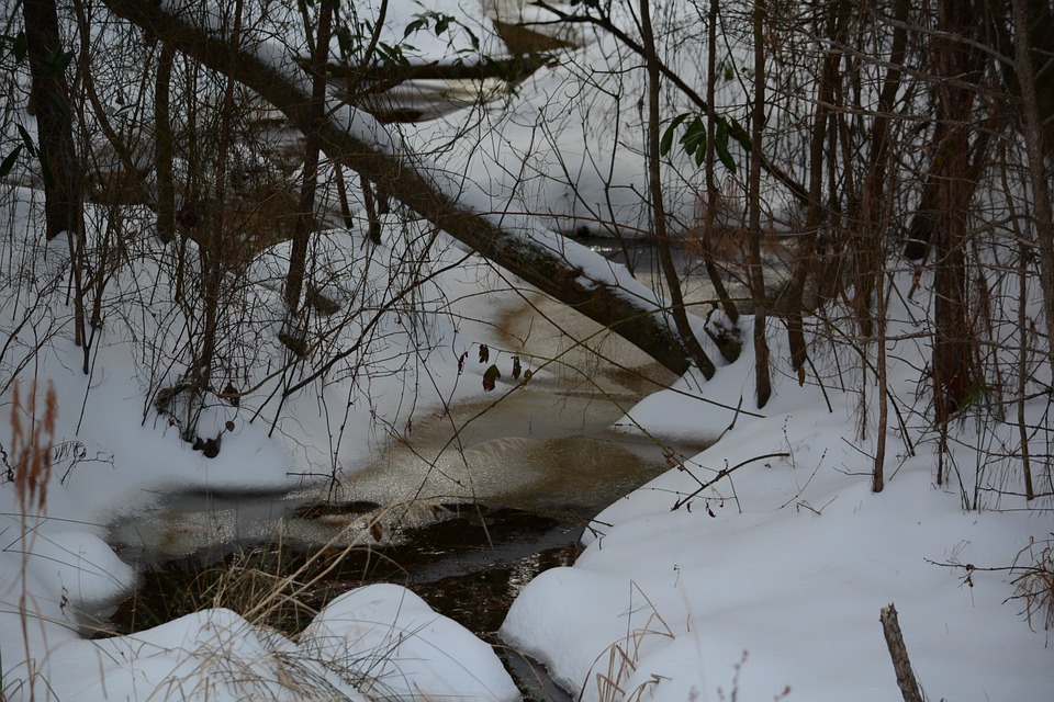 snowy, creek, frozen