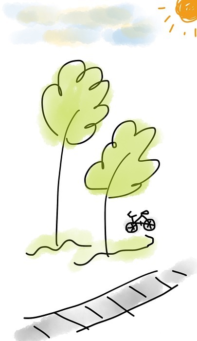 bicycle, tree, outdoor
