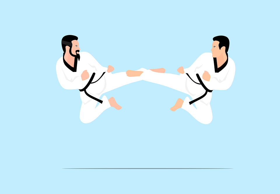 karate, judo, fight
