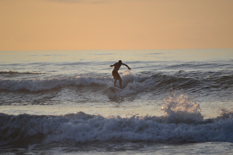 surfing, sunset, surfer