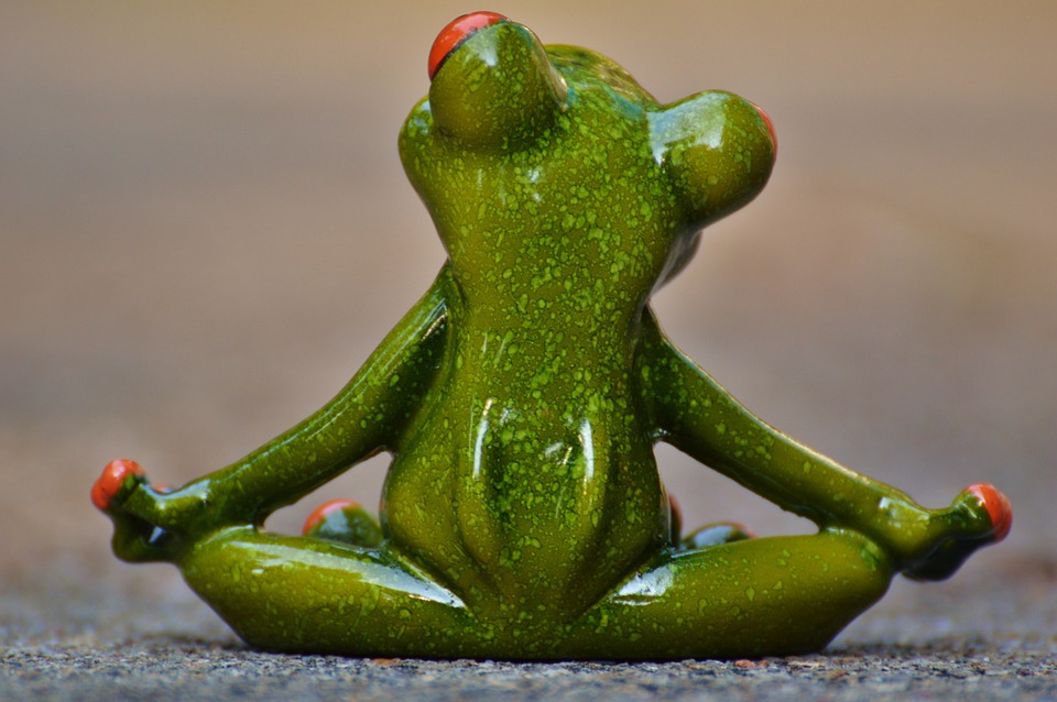 yoga, frog, relaxed