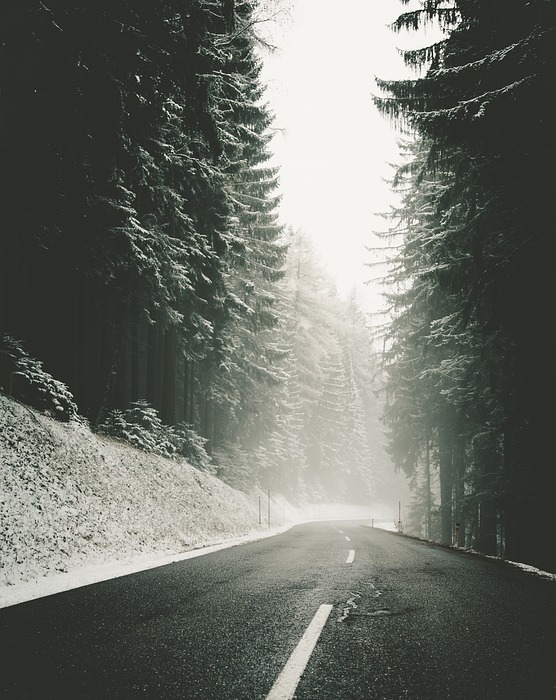 snowy, roadway, road