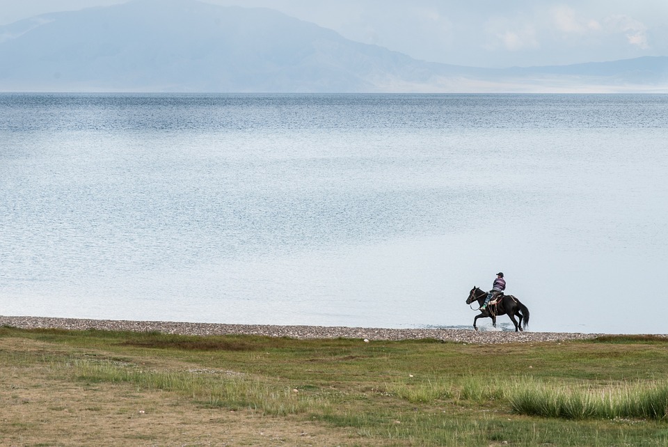 horseback riding, lake, water