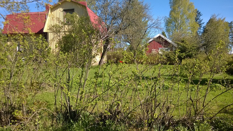 house, spring, new leaves