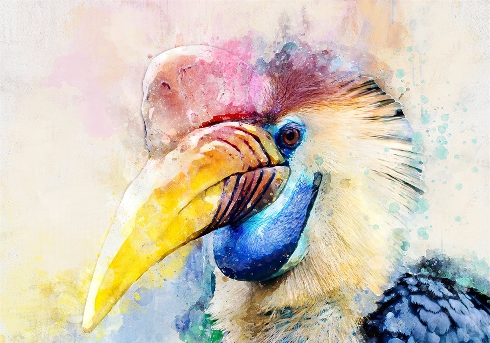 bird, exotic, painting