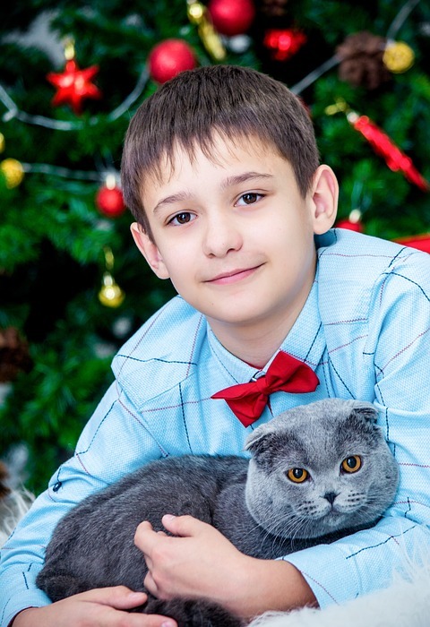 christmas decor, new year\'s eve, the boy with the cat