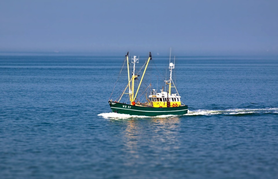 fishing vessel, boot, ship