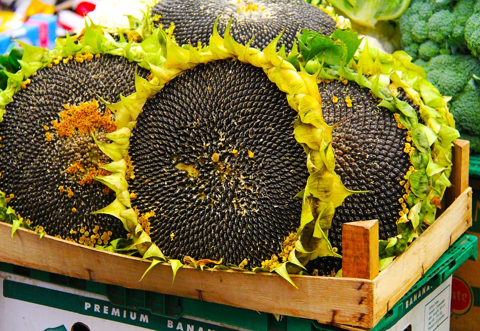 sunflower, seeds, market