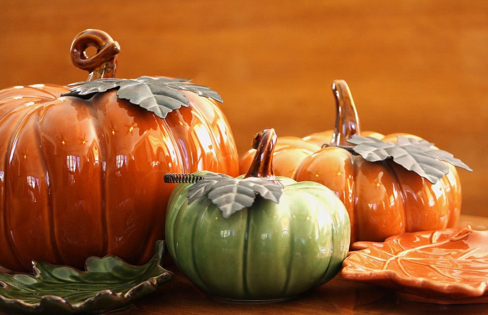 thanksgiving, pumpkin, seasonal