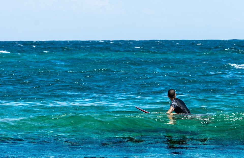 surfing, waves, sea