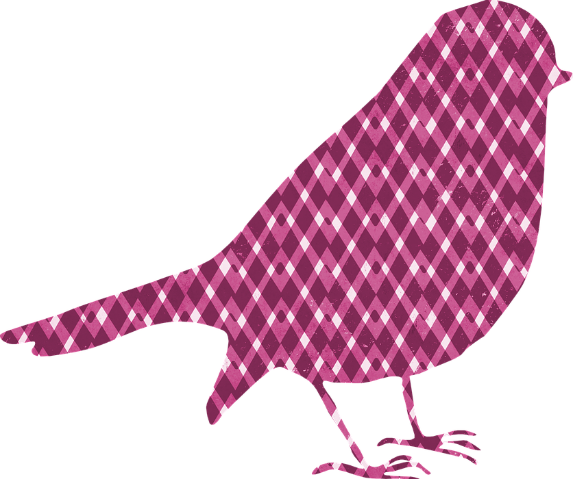 bird, silhouette, pattern