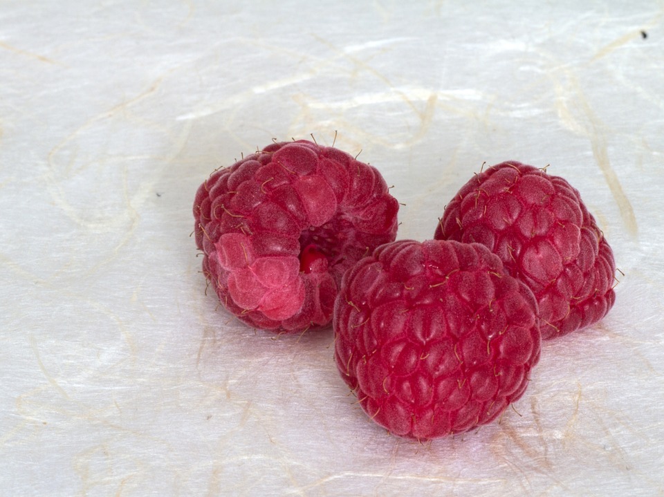 fruits, raspberry, close