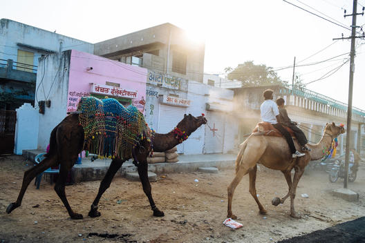 A father and son ride a camel as they lead another camel through the ...